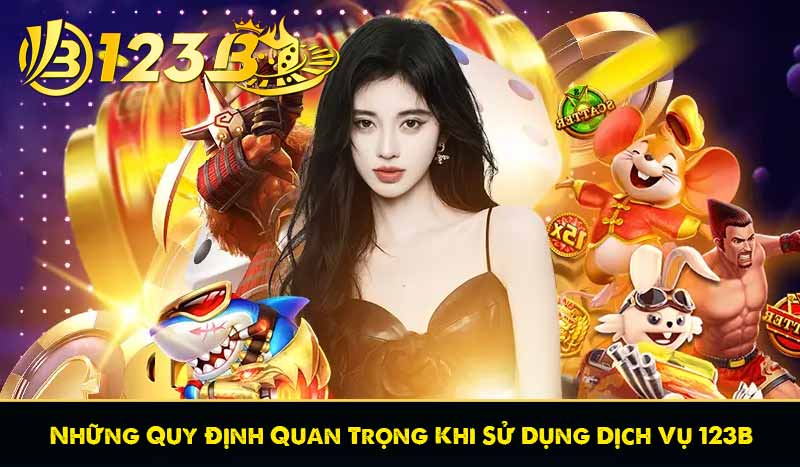 Điều Khoản Và Điều Kiện 123B 11 Những Quy Định Quan Trọng Khi Sử Dụng Dịch Vụ 123B