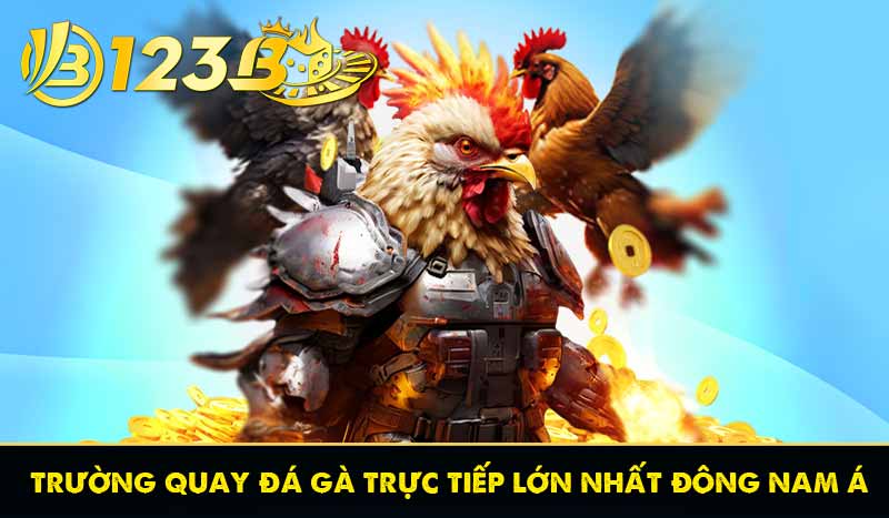 TRANG CHỦ 29 trường quay đá gà trực tiếp lớn nhất đông nam á